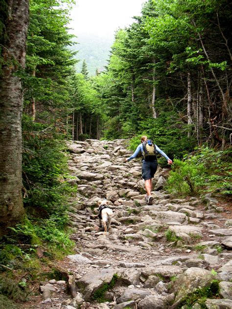 Mt washington trails. Things To Know About Mt washington trails. 